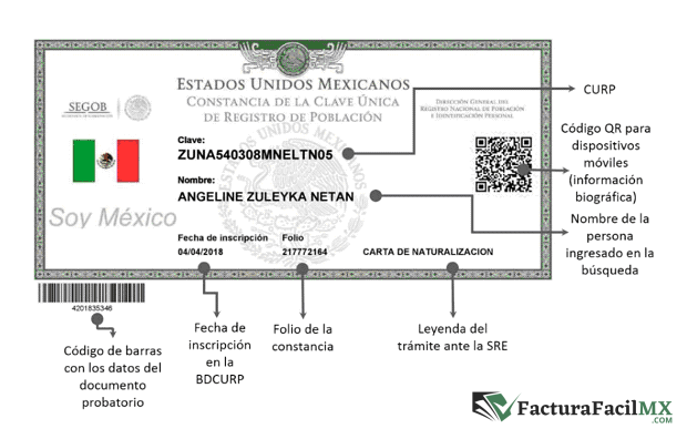 ¿Qué es la CURP? 6 ¿Qué es la CURP?