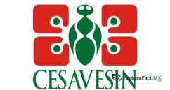 Facturación CESAVESIN en Línea de Tickets 5 Facturación CESAVESIN en Línea de Tickets