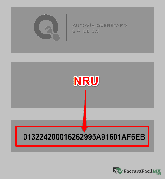 Facturación AQSA en Línea de Tickets 6 Facturación AQSA en Línea de Tickets