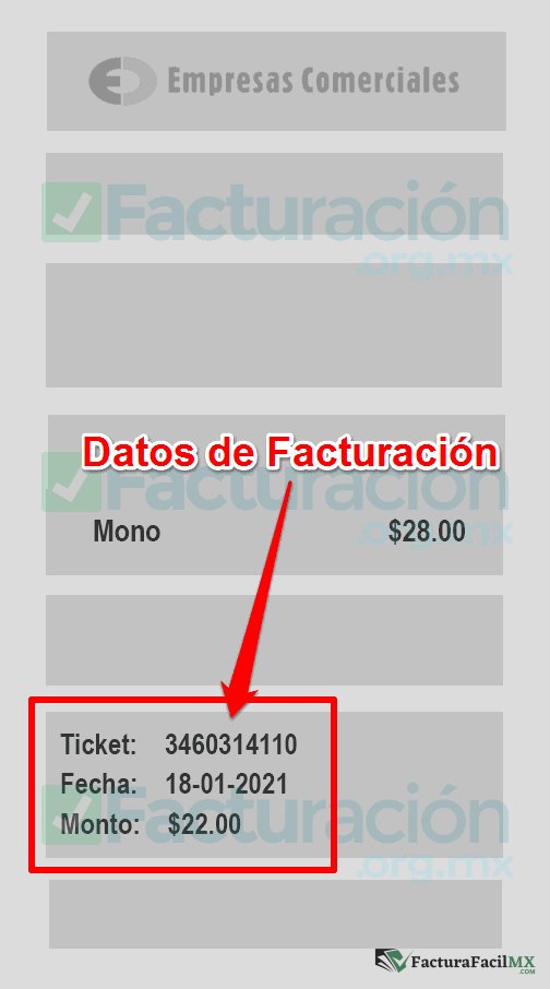 Facturación Gemco en Línea de Tickets 6 Facturación Gemco en Línea de Tickets
